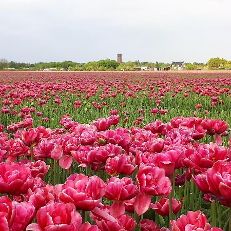 Bed En Breakfast En Bike Sommelsdijk ภายนอก รูปภาพ