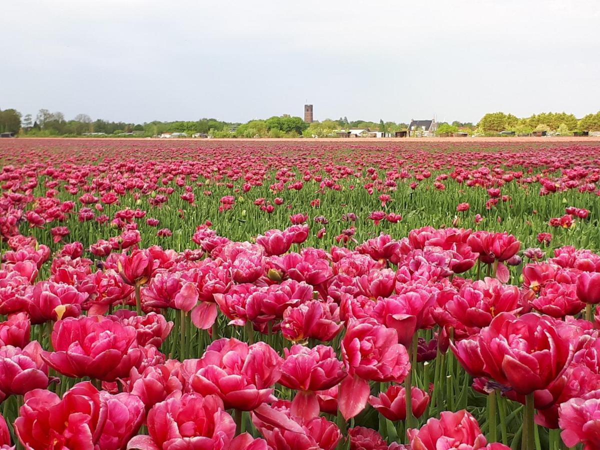 Bed En Breakfast En Bike Sommelsdijk ภายนอก รูปภาพ
