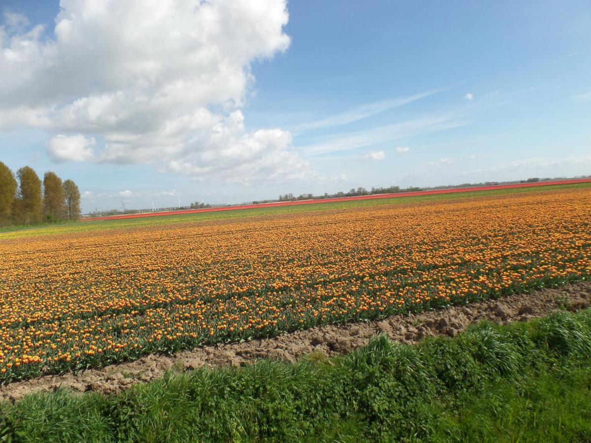 Bed En Breakfast En Bike Sommelsdijk ภายนอก รูปภาพ